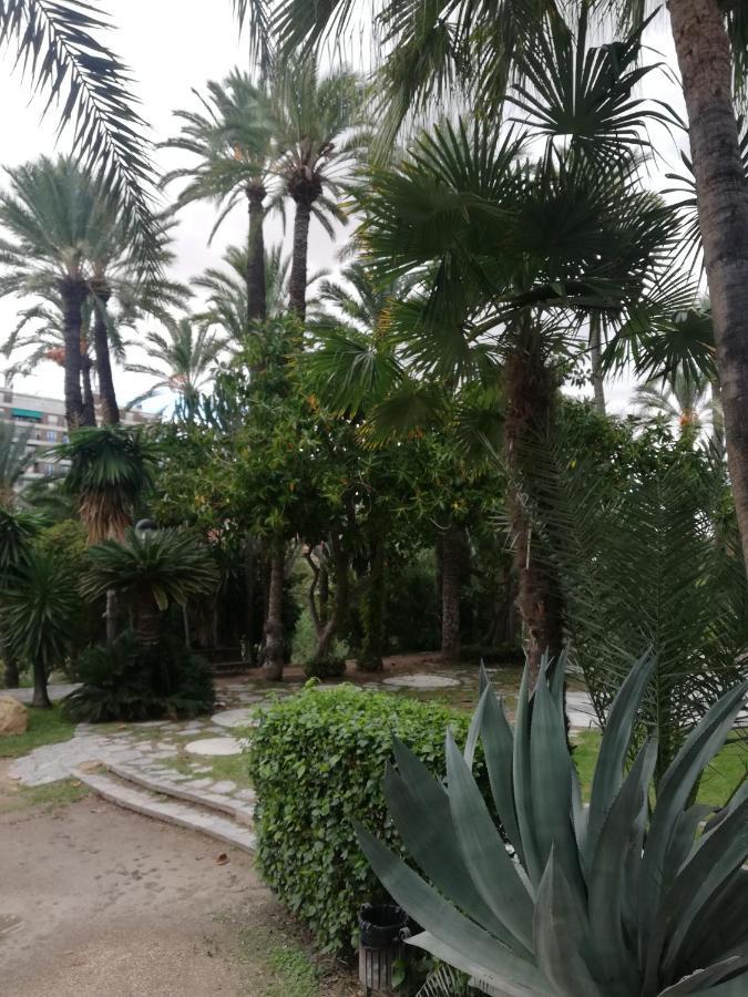 Penthouse Op Toplocatie Orihuela Kültér fotó